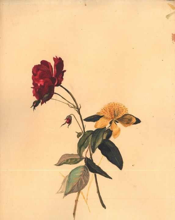 Fiori, seconda metà XIX sec.